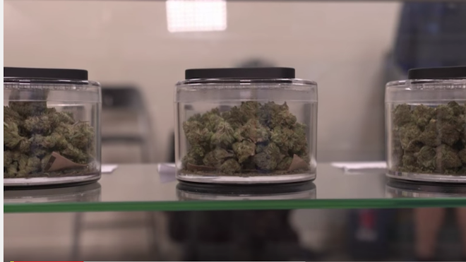 Gobierno de Trump endurece la normativa sobre la marihuana recreativa