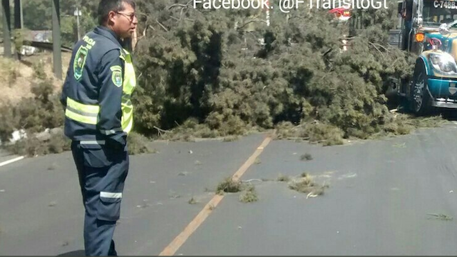Por fuertes vientos EEGSA activa Estado de Emergencia en tres departamentos