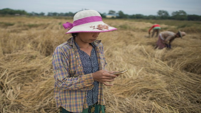 La tecnología al rescate de los agricultores birmanos