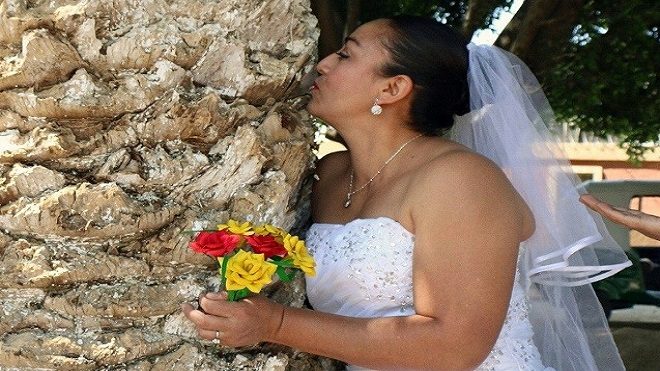 Ambientalista peruano promueve boda colectiva con árboles en México