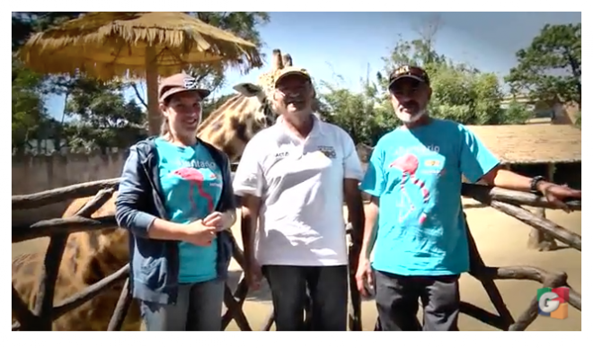 Voluntarios