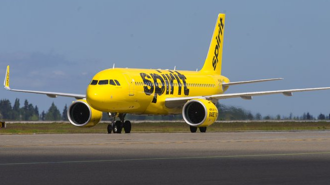 Abrir el documento en una nueva ventana X Como le impidieron subir al avión con su hámster, lo lanzó al inodoro