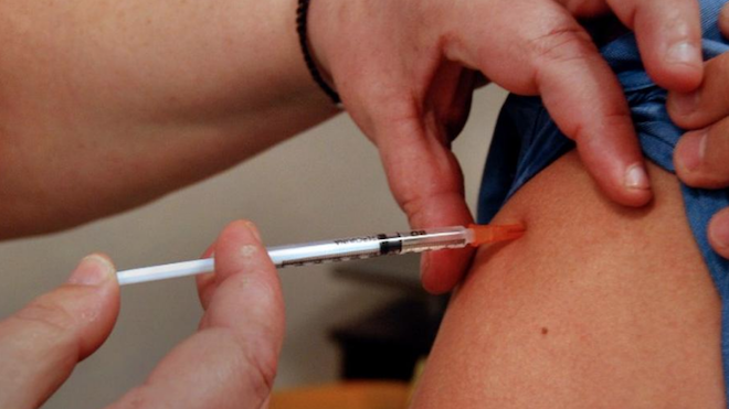 OPS reporta fuerte aumento de casos de fiebre amarilla en Brasil