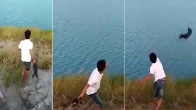 FUERTE VIDEO: Un hombre lanza un cachorro vivo a un río lleno de cocodrilos que lo devoran