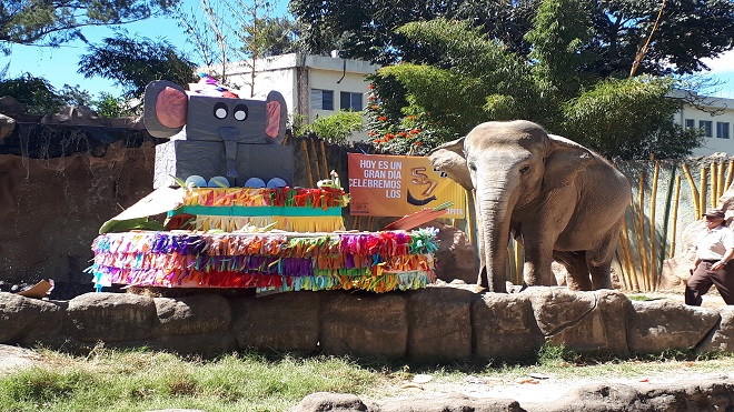 El-Elefante-Trompita