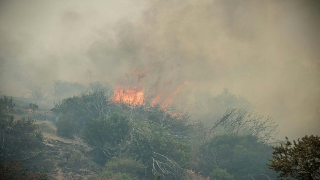 Avance de incendios forestales mantiene en vilo al sur de Chile