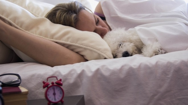 ¿Cuáles son las ventajas y desventajas de dormir con tu mascota?