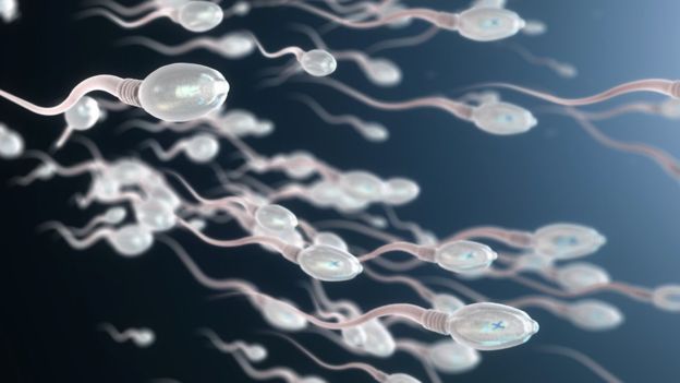 Qué es el varicocele, una de las causas más comunes de infertilidad masculina
