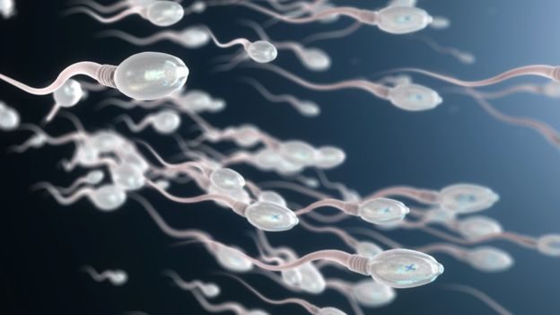 Qué es el varicocele, una de las causas más comunes de infertilidad masculina