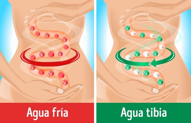 es mejor tomar agua fria o al clima para adelgazar