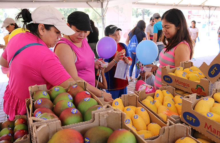 Anuncian Festival de Mango en la ciudad