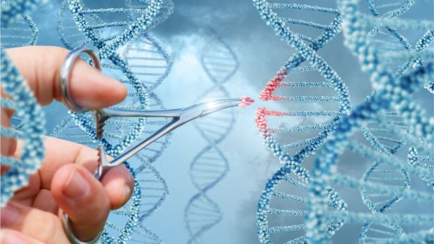 Descubren el primer caso de VIH resistente a fármacos antirretrovirales