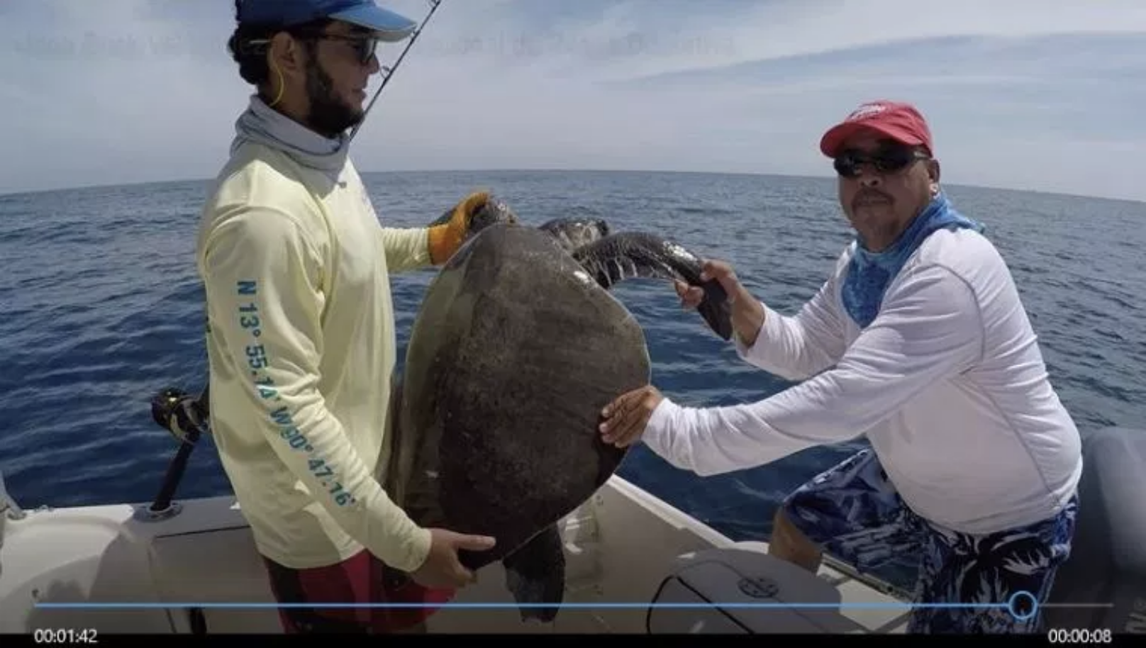 video-liberan-tortuga-parlama-enredada-en-red-de-pescadores