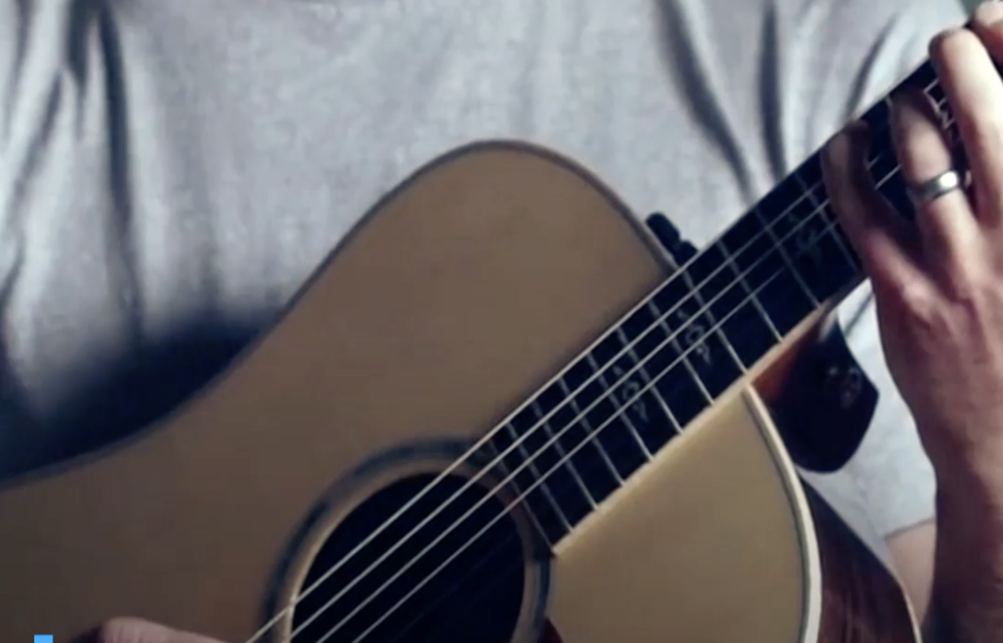 Video: Este árbol podría dejar de existir porque su madera se usa para fabricar guitarras y violines