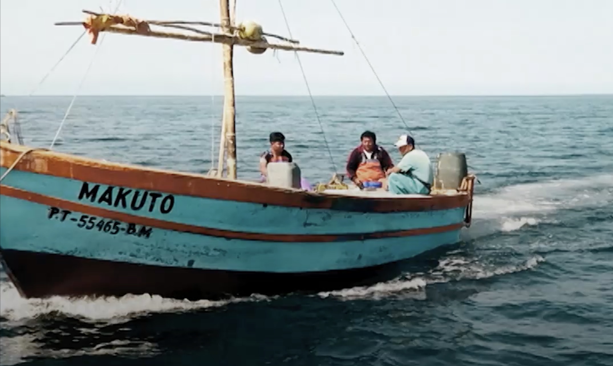 Video: ¿Por qué los pescadores ya no hallan peces en el mar?