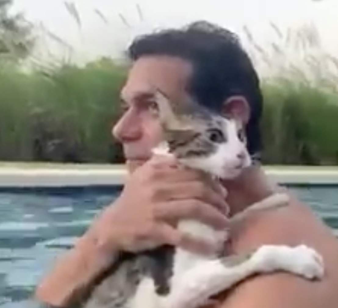 Video: Este gatito grita “me ahogo” en una piscina