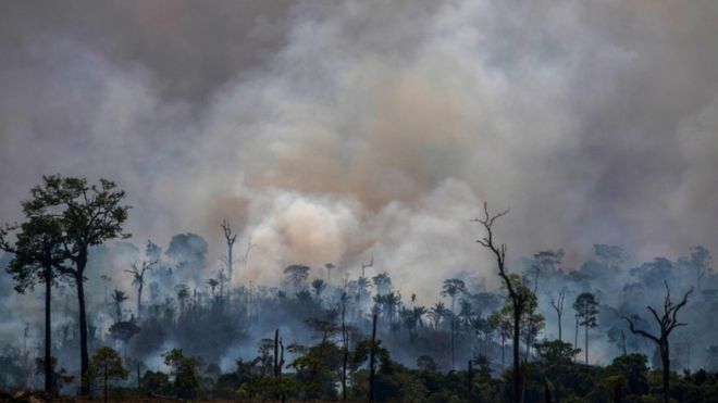 Los incendios del pasado mes de agosto despertaron la preocupación internacional por el pulmón del planeta. Foto- AFP