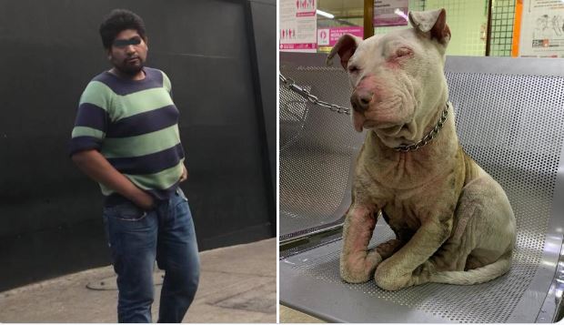 “Le roció solvente a la perrita y le prendió fuego”:&hellip;