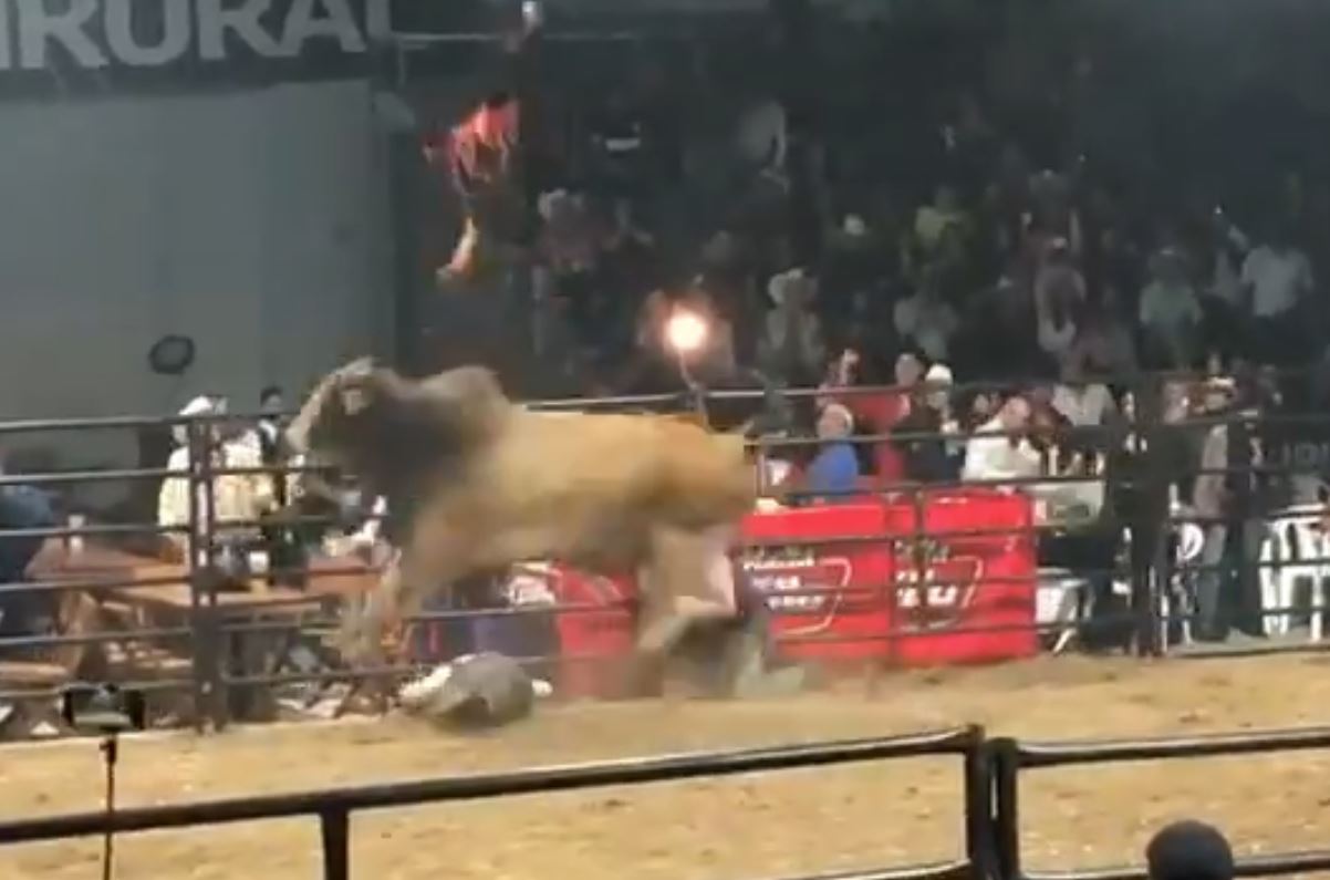 ¡Por los aires! Toro lanza a una persona durante jaripeo - guatevision.com
