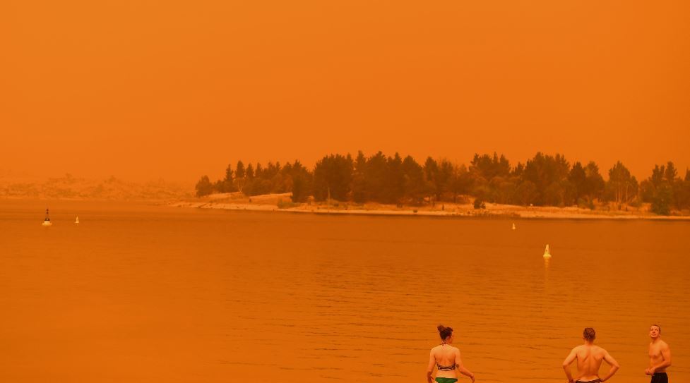 Mantas para canguros y millones dólares para ayudar a las víctimas de los incendios en Australia