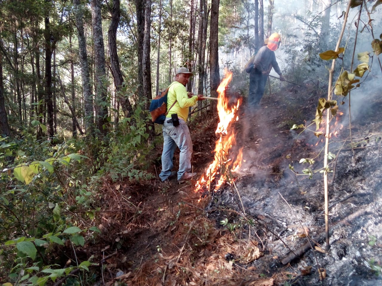 Tres incendios están activos y hasta el momento controlados