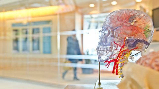 ¿Escuchas a tu oído? Inteligencia Artificial aplicada a la salud auditiva