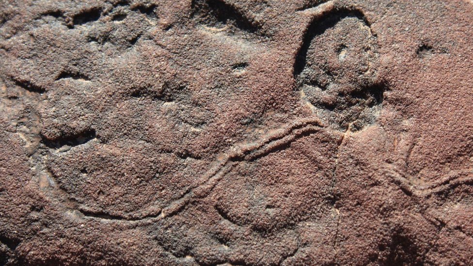 Cómo eran las extrañas primeras criaturas que habitaron la Tierra&hellip;