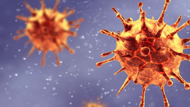 Coronavirus: por qué el covid-19 se llama así y cómo se nombran los virus y las enfermedades infecciosas