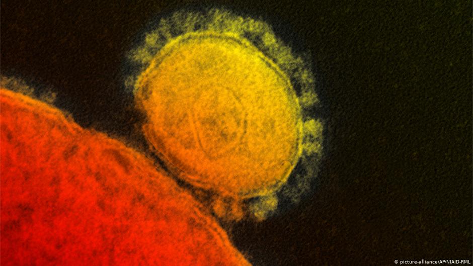 ¿De dónde vino el coronavirus? ¿Cuánto dura en las superficies? DW responde a sus preguntas