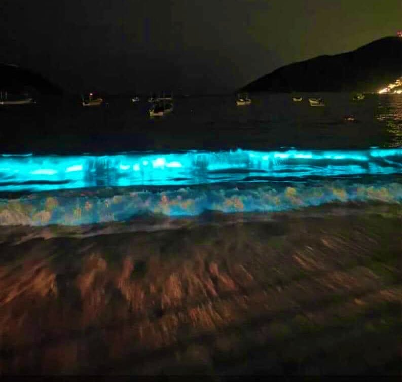 Playa de Acapulco se ilumina como con luz neón por un extraño fenómeno