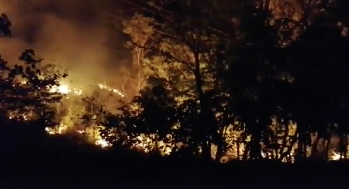 VIDEO: Arden boques de Petén