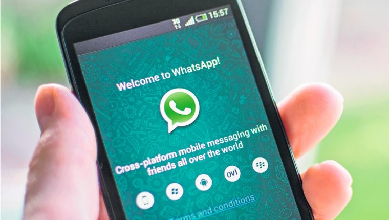 Coronavirus: WhatsApp limita el reenvío de mensajes para evitar que se viralicen noticias falsas durante la cuarentena