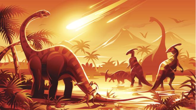 Si los humanos nos extinguiéramos, ¿cuál sería la especie dominante?