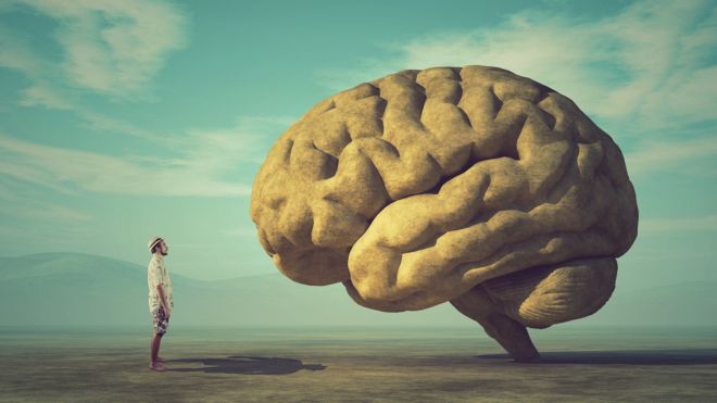 Con la inteligencia no sólo se nace sino que se hace. (Foto Guatevisión: Getty Images)
