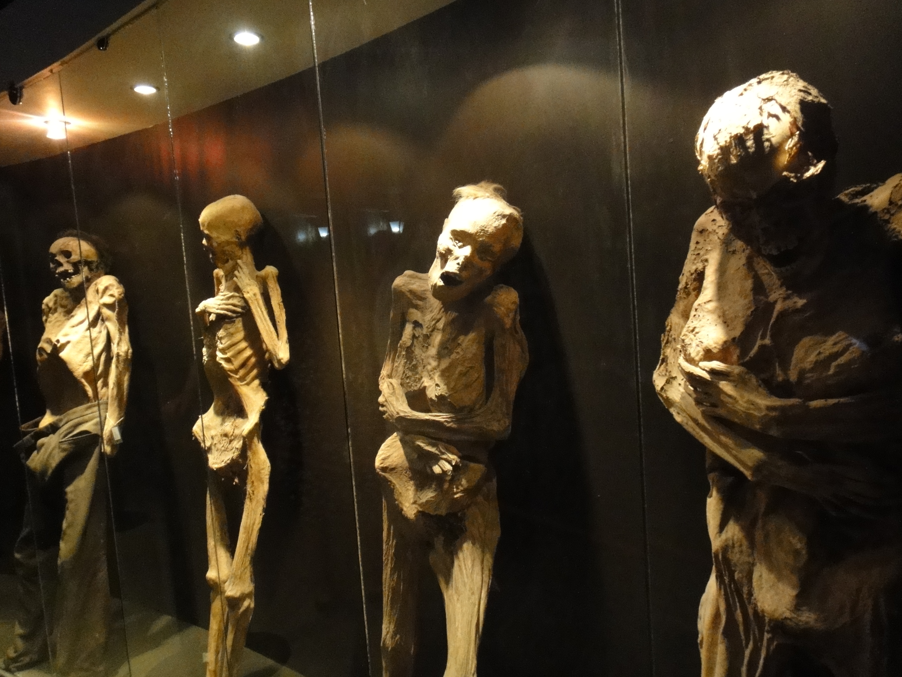 Desaparecen 22 momias del museo de Guanajuato, ¿qué se sabe del caso?