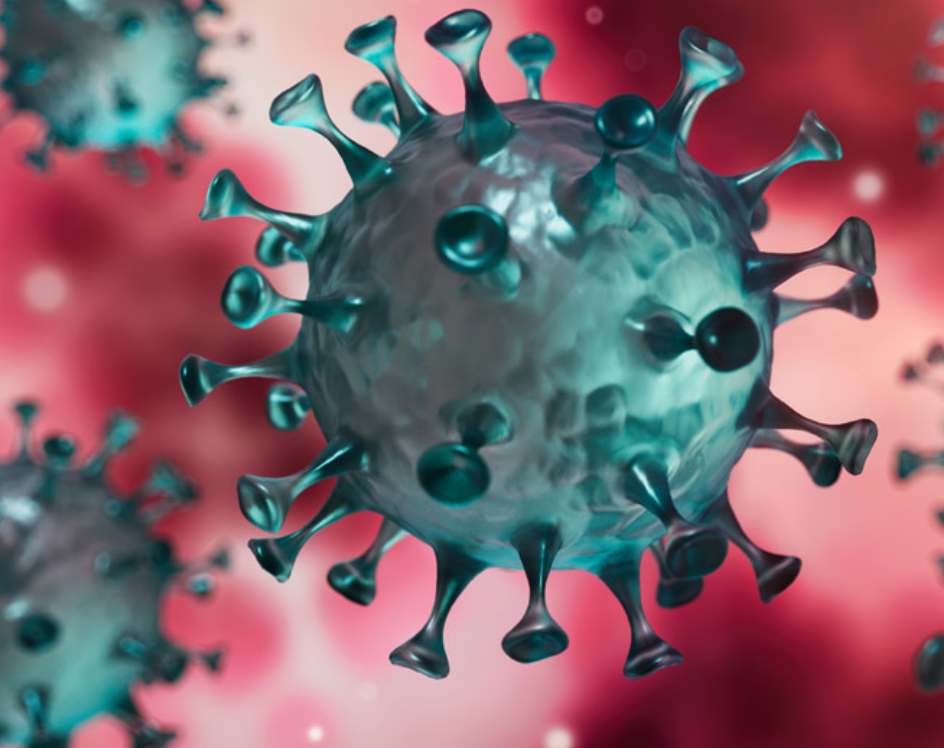 ¿El punto débil del coronavirus? Descubren cómo el covid-19 evade el sistema inmunológico de nuestro cuerpo