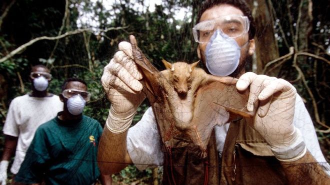 “Esta no es la última pandemia”: la advertencia de los científicos ante la “tormenta perfecta” para nuevas enfermedades tras el coronavirus