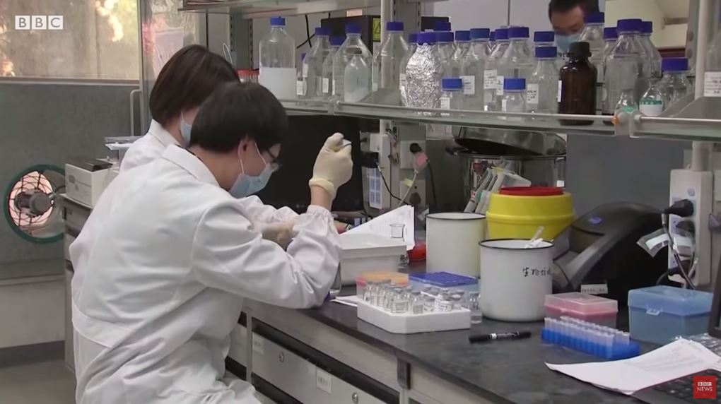Coronavirus: 4 descubrimientos clave de la ciencia en los primeros 6 meses de pandemia