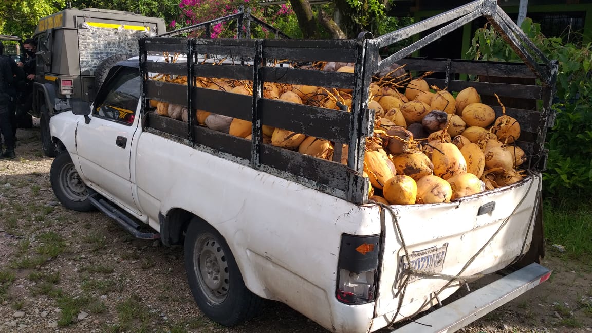 Capturan a dos hombres que llevaban marihuana escondida entre cocos