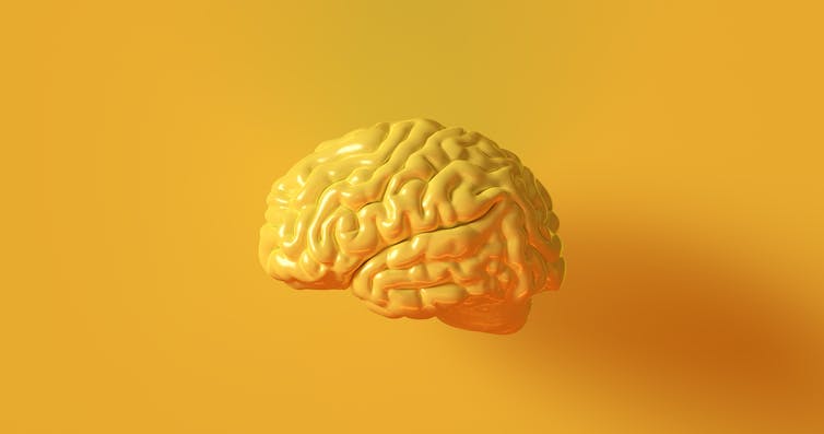 El cerebro también se puede donar (y no es necesario estar sano)