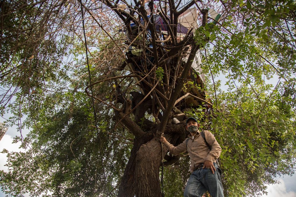 La esperanza del salvadoreño que vive en un árbol en la Ciudad de Guatemala