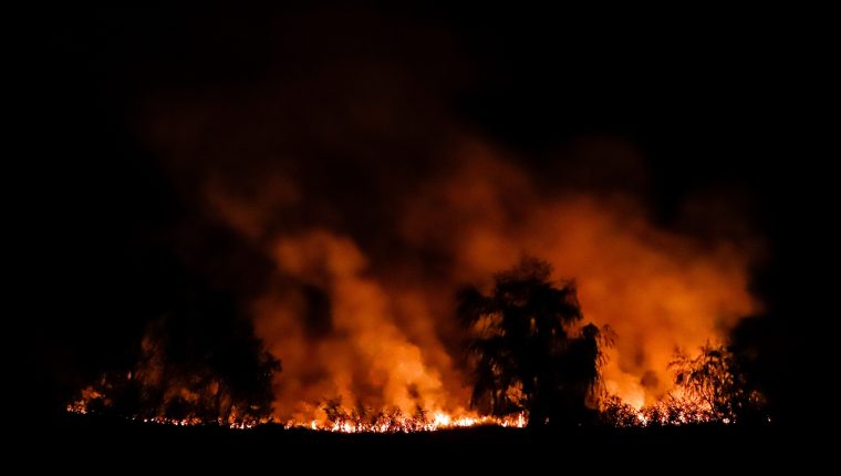 Asunción se asfixia entre el humo de los incendios en el río Paraguay
