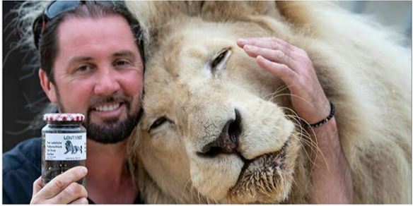 La insólita manera de sobrevivir de un circo durante el coronavirus: vende el excremento de sus leones