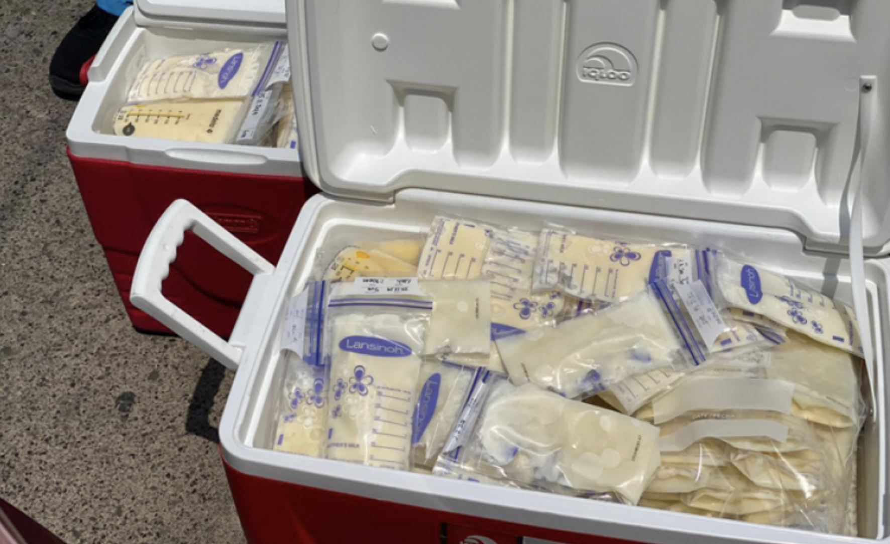 Hospital Roosevelt busca donantes de leche materna