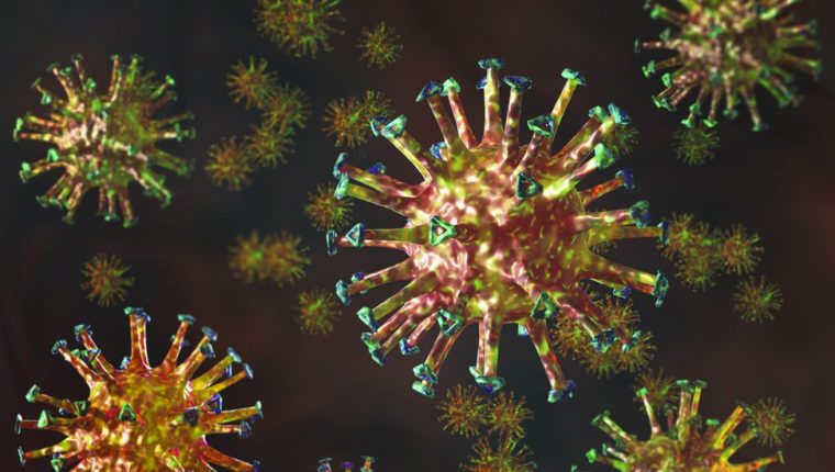 Tratamiento y prevención del coronavirus: qué son los anticuerpos monoclonales y por qué podrían ser una alternativa contra la covid-19 hasta que haya vacuna