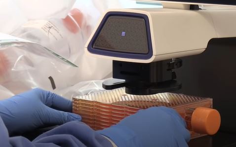 El punto débil del coronavirus que encontró una científica mexicana (y cómo puede servir para neutralizarlo)