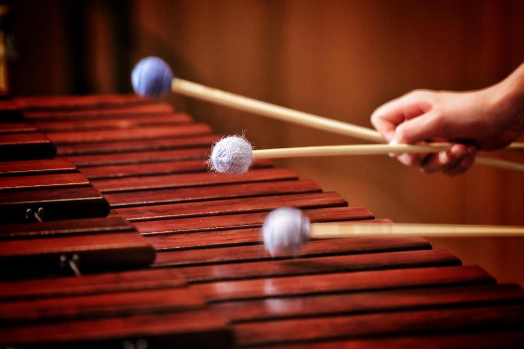 Concierto de marimba