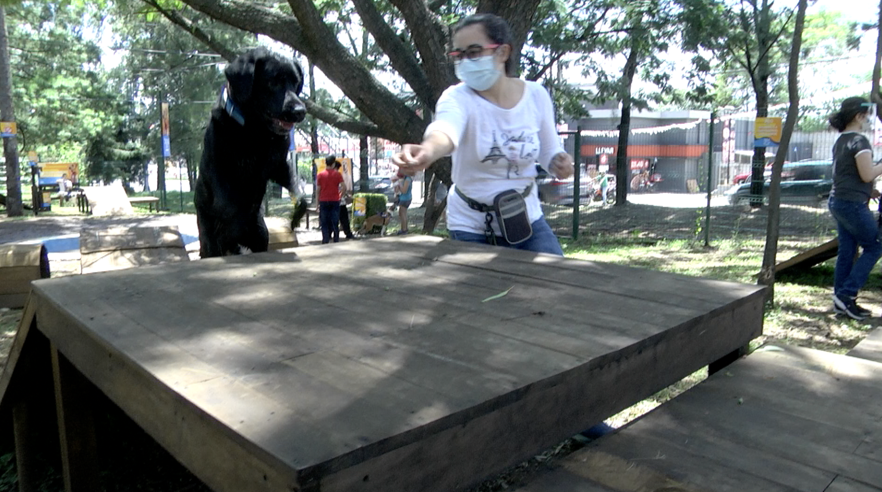 Dogs Ville Guatemala, un parque para perros en Sacatepéquez