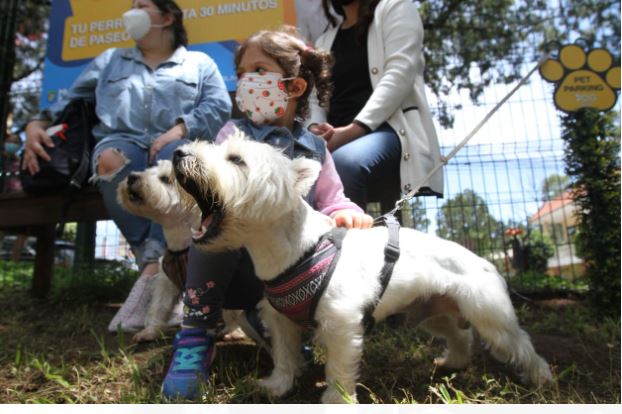 Mixco habilita parque recreativo para perros y estos son los requisitos para su uso
