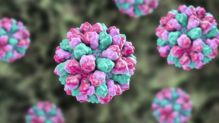 Coronavirus: ¿es normal, bueno o malo que mute el virus que causa covid-19?